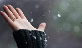 不惧在线观看,探索勇敢者的心灵之旅